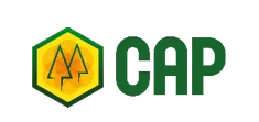 CAP, empresa que opera con el ERP DiamoERP